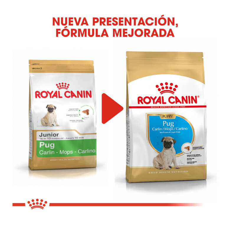 Royal Canin Puppy Pug ração para cães, , large image number null